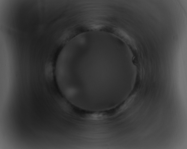 X0000100400366200806061321