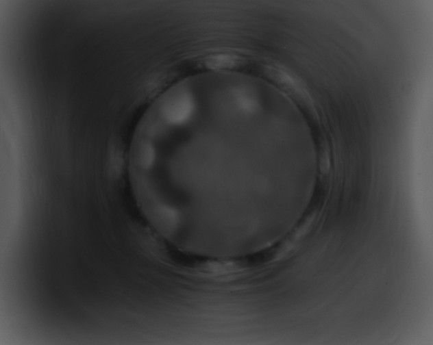 X0000100400367200806061321