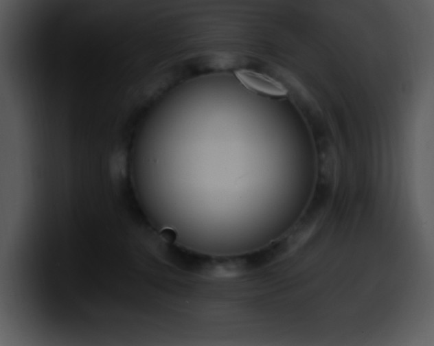 X0000100400368200806061321