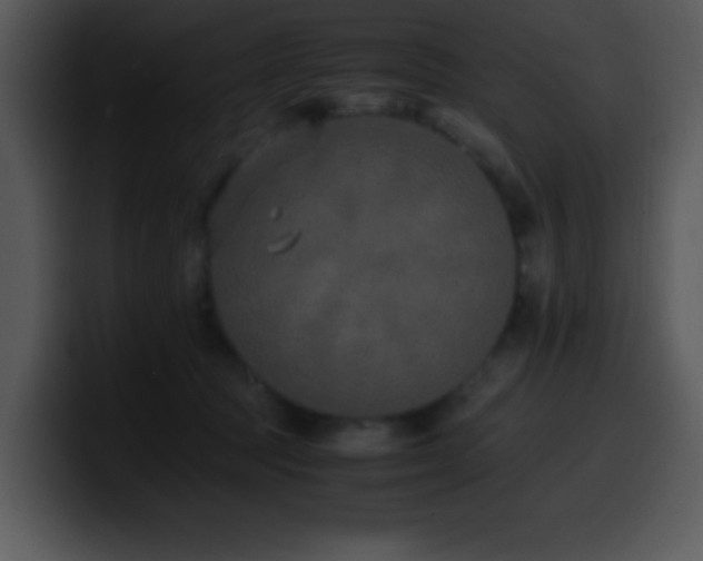 X0000100400369200806061321