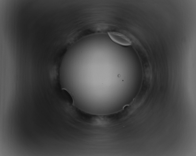 X0000100400372200806061321