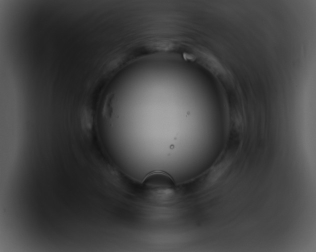 X0000100400374200806061321