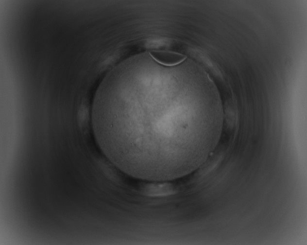 X0000100400375200806061321