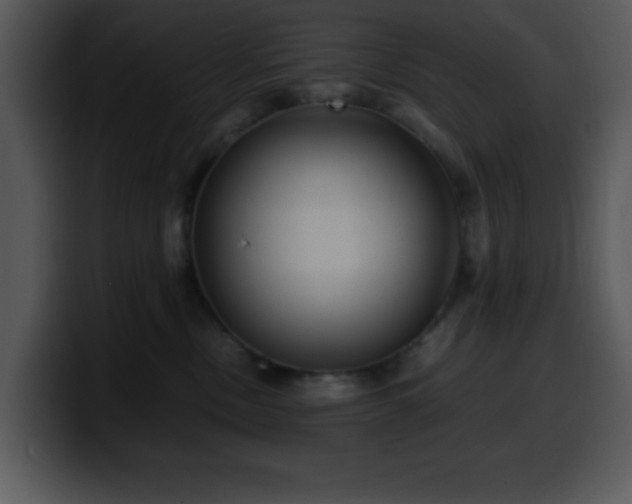 X0000100400378200806061321
