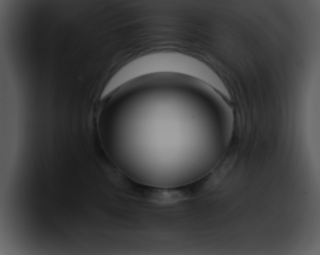 X0000100400379200806061321