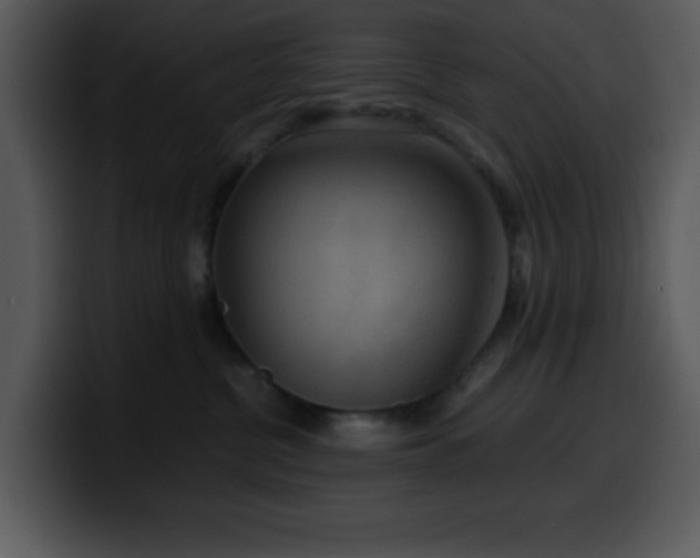 X0000100400380200806061321