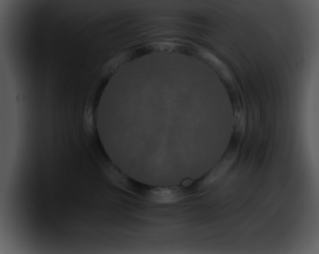 X0000100400381200806061321