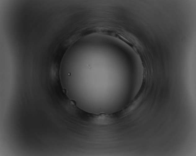 X0000100400382200806061321