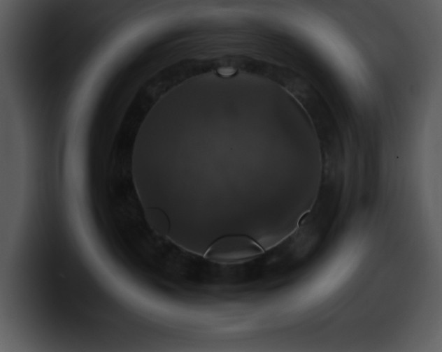 X0000100400383200806061321