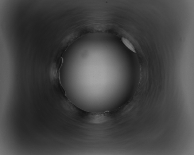 X0000100400384200806061321