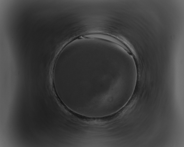 X0000100400385200806061321