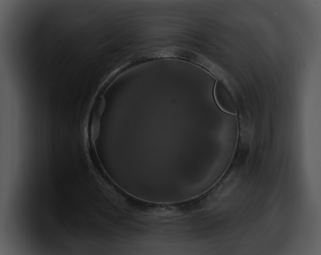 X0000100400386200806061321