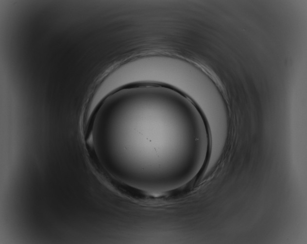 X0000100400389200806061321