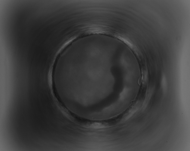 X0000100400390200806061321