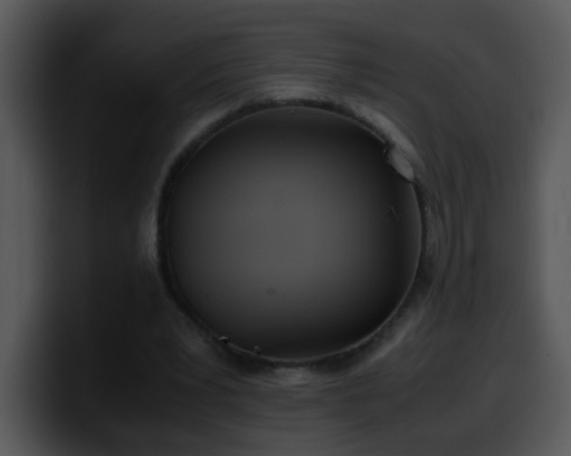 X0000100400391200806061321