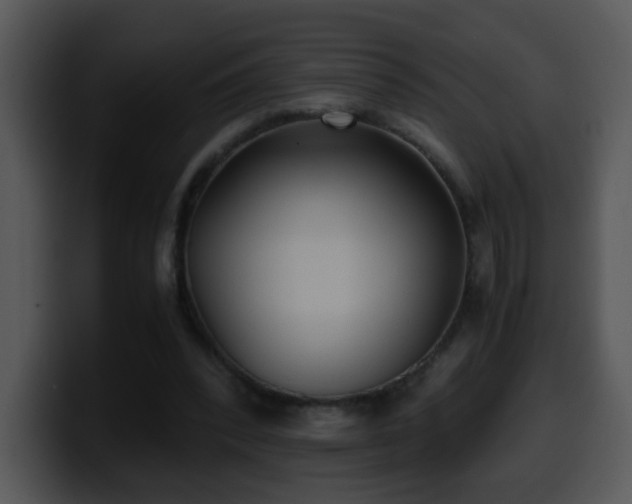 X0000100400392200806061321