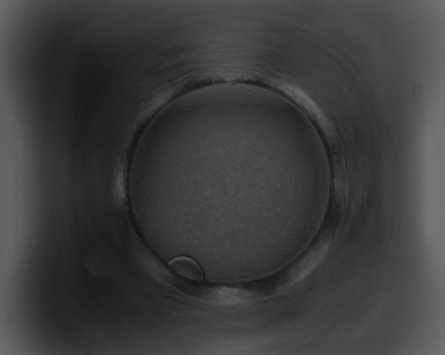 X0000100400393200806061321