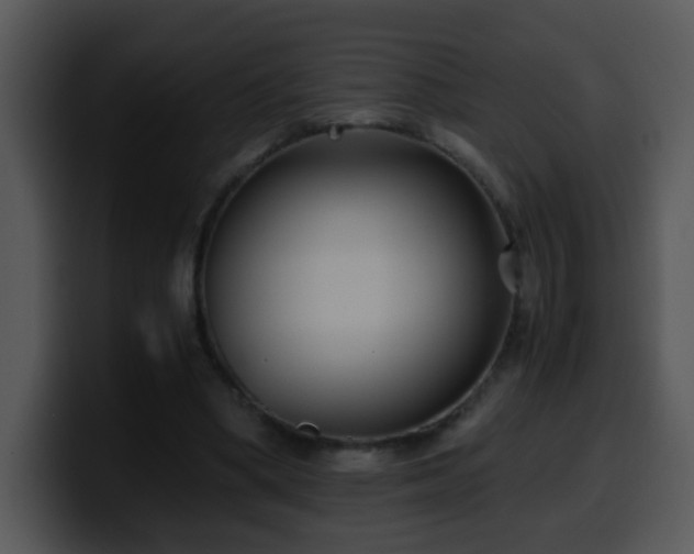 X0000100400394200806061321