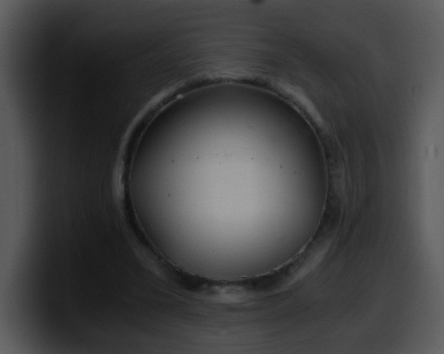 X0000100400395200806061321