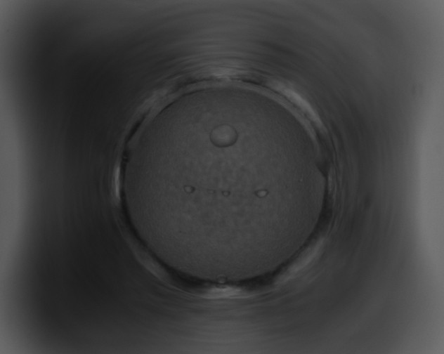 X0000100400397200806061321