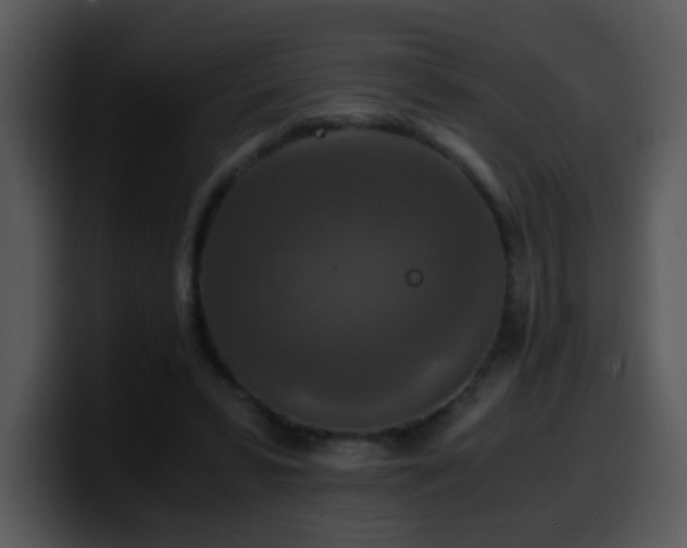 X0000100400399200806061321