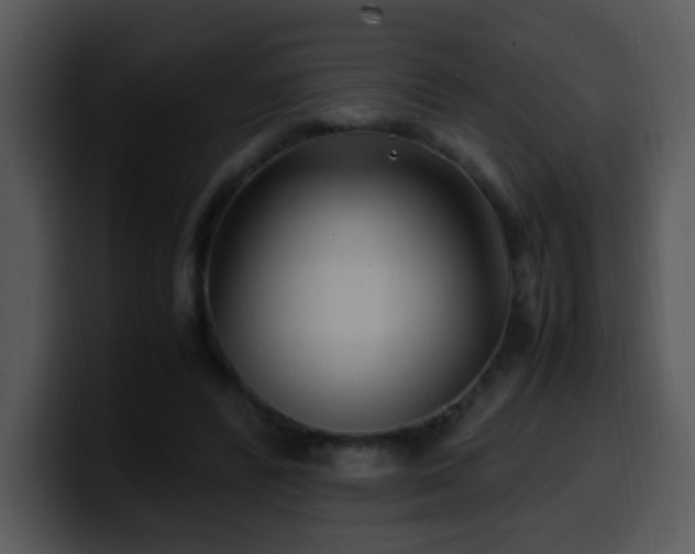 X0000100400400200806061321