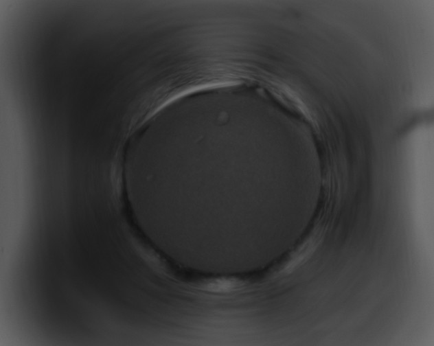 X0000100400402200806061321
