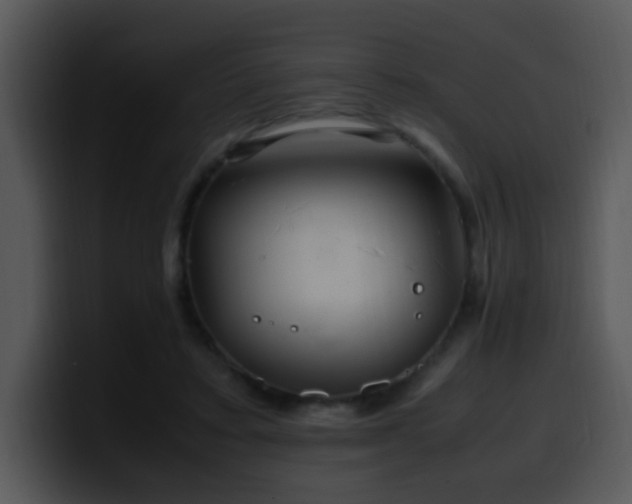X0000100400403200806061320