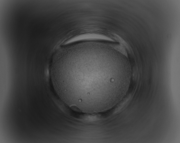 X0000100400405200806061320
