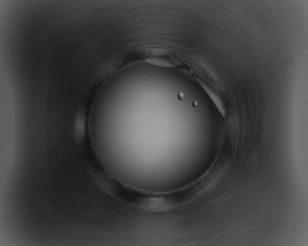 X0000100400406200806061320