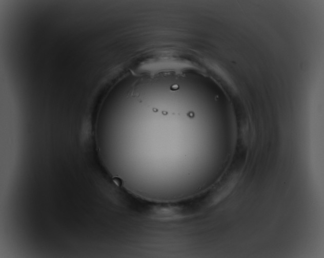 X0000100400407200806061320