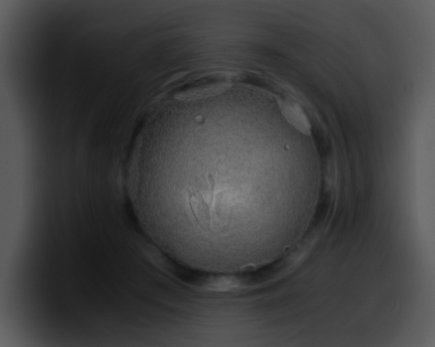 X0000100400409200806061320