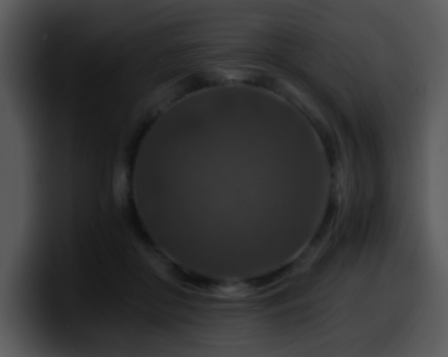 X0000100400410200806061320
