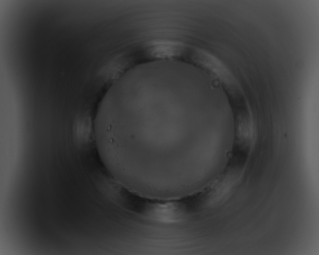 X0000100400411200806061320