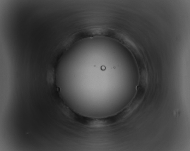X0000100400413200806061320