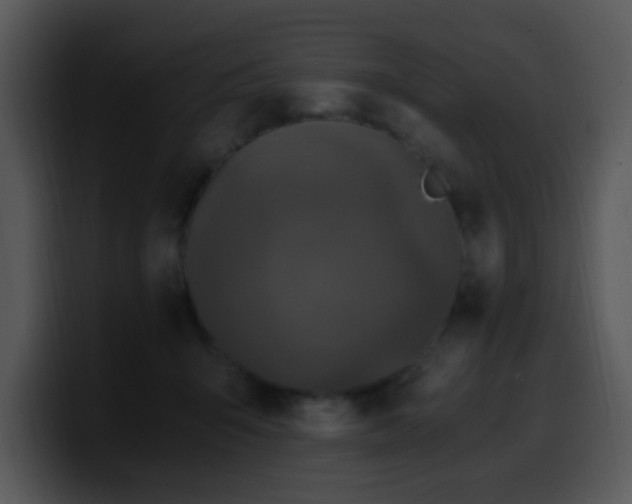 X0000100400415200806061320