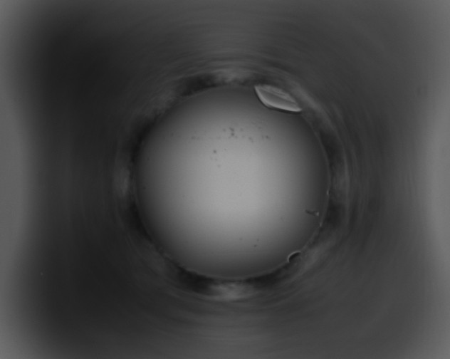 X0000100400417200806061320