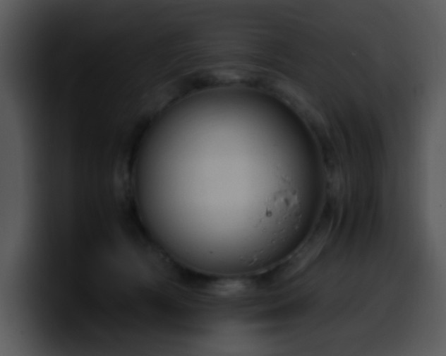X0000100400418200806061320