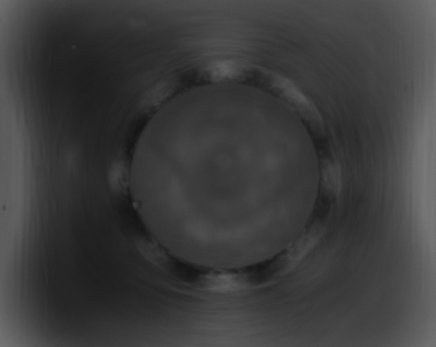 X0000100400419200806061320
