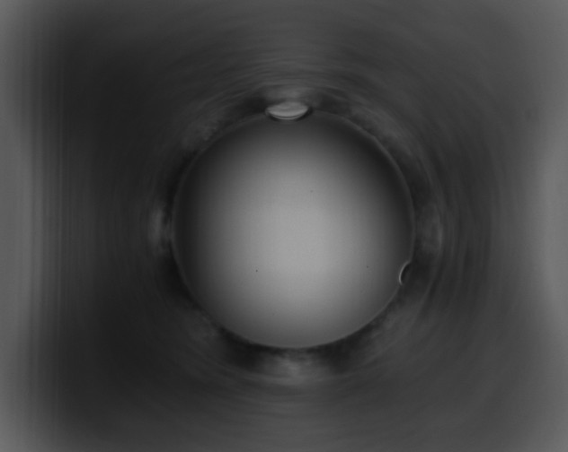 X0000100400420200806061320