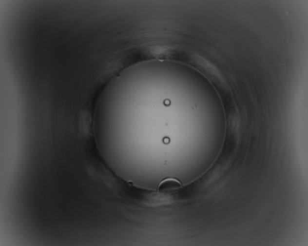 X0000100400421200806061320