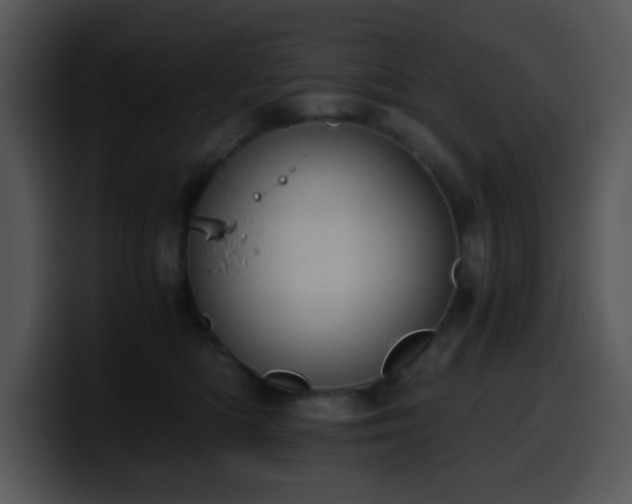 X0000100400422200806061320