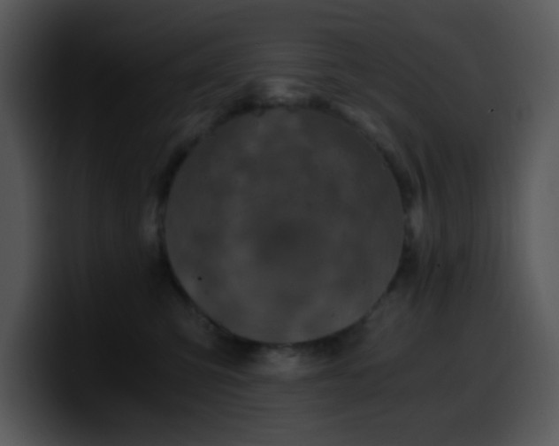 X0000100400423200806061320