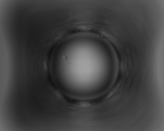 X0000100400424200806061320