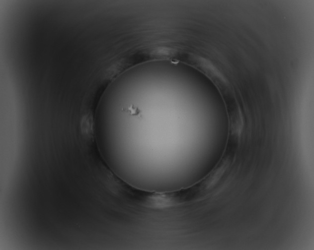 X0000100400425200806061320