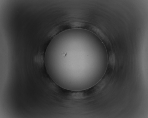 X0000100400426200806061320