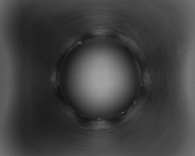 X0000100400428200806061320