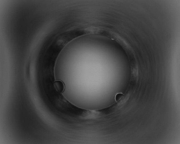 X0000100400429200806061320