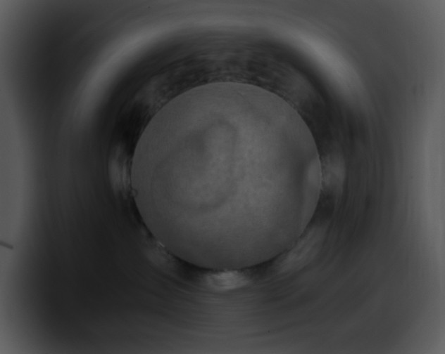 X0000100400431200806061320