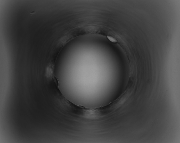 X0000100400432200806061320